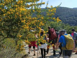 Trekking Isola D'Elba